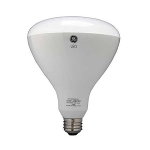 LED Floodlight Bulb Lamp