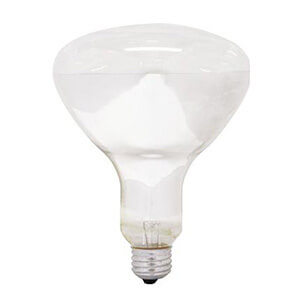 incandescent light bulb lamp