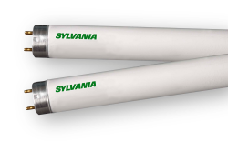 Sylvania 22137 - Straight T8 Fluorescent Tube